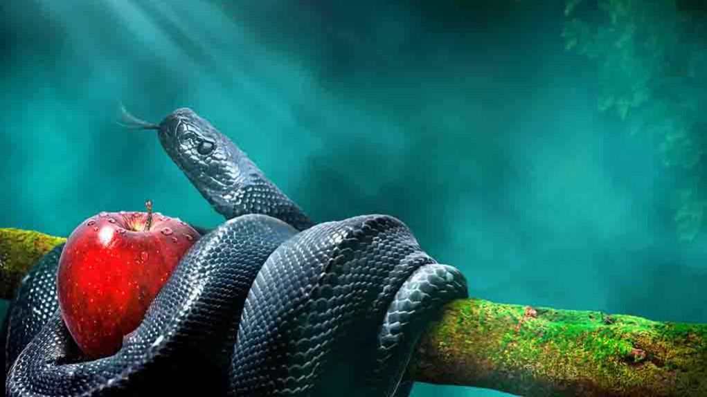 09 01 2022 Павел Райн - Господствуй над грехом смотреть онлайн