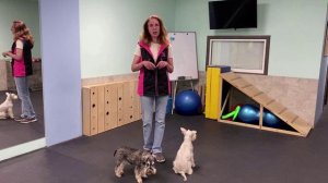 Бесплатные уроки. ПЕРВЫЙ.