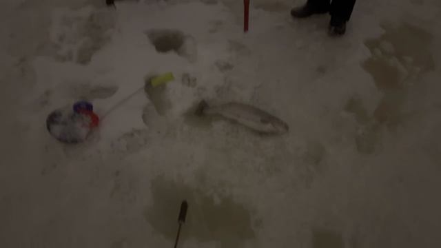 1000138304.mp4 смотреть онлайн