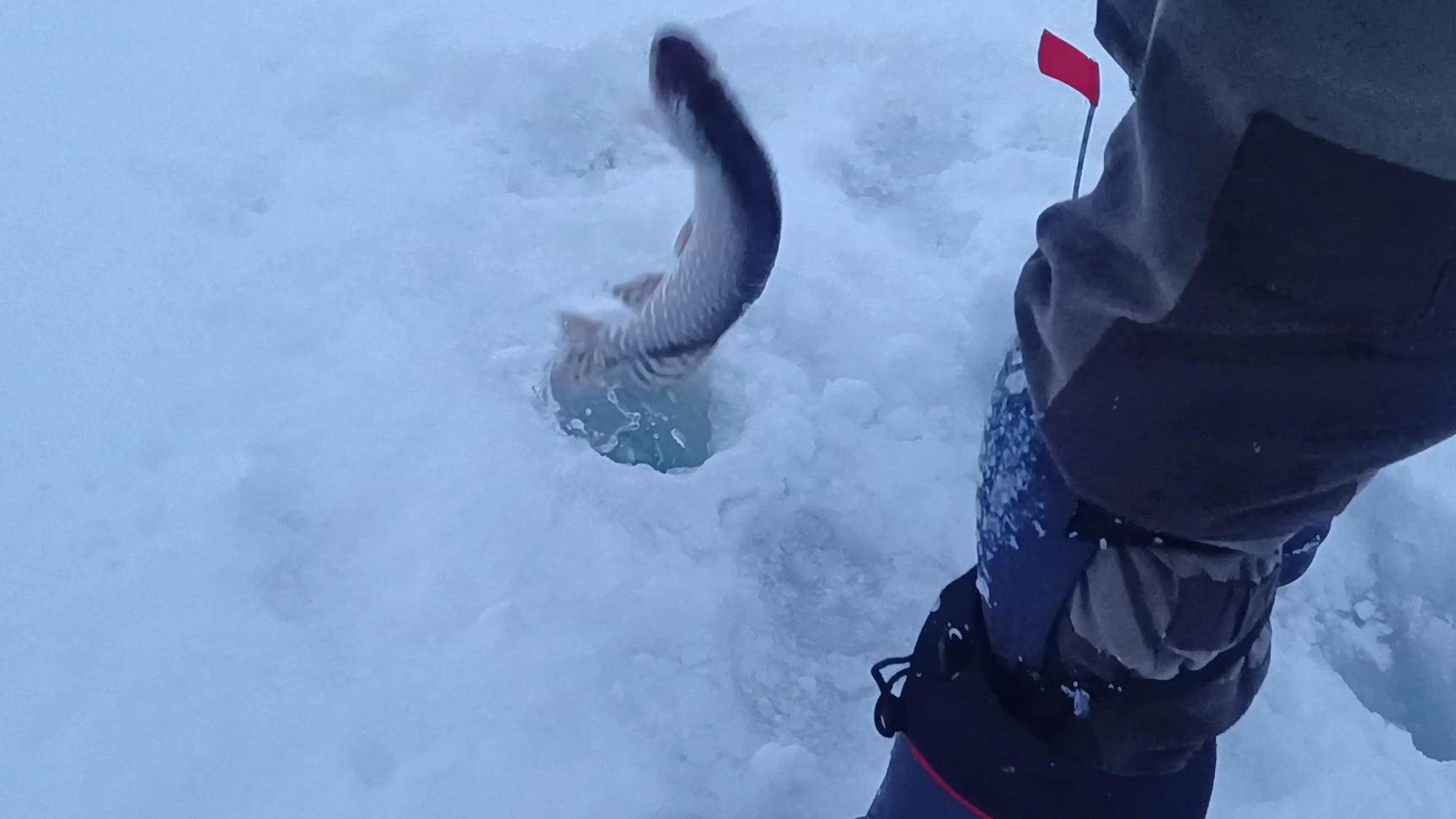 Рыбалка на жерлицы.До обеда натоскали и домой. смотреть онлайн