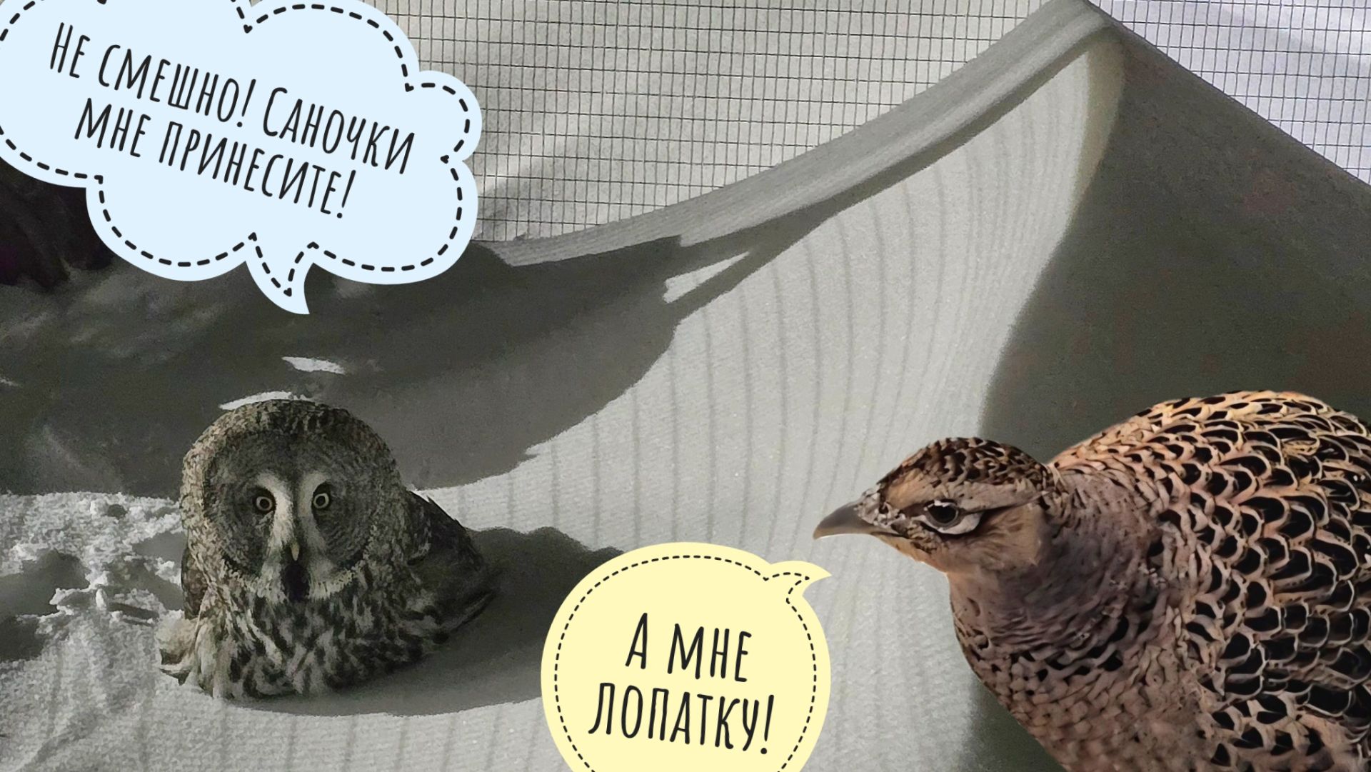 Кто натоптал на снегу? Опять гости в Совином Доле у совы Ёлки! Артём радуется замечательной погоде смотреть онлайн