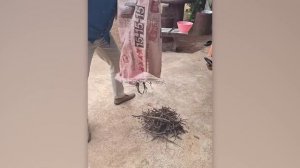 80 Странных Явлений, Которые Происходят Прямо Сейчас по Всему Миру