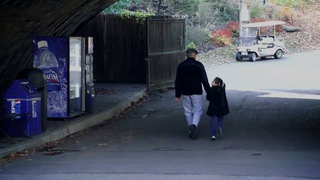 Приключения тайгеров Веселый день соседей и тихая фабрика часов 🕰️ Мирные моменты смотреть онлайн