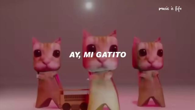 AY MI GATITO MIAU MIAU смотреть онлайн