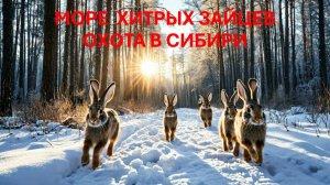 Море хитрых зайцев. Охота в СИБИРИ.