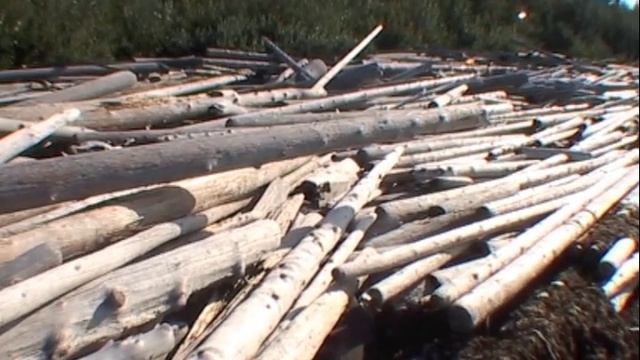 ©  " Русский.  Дорога из Бревен"  2004 г Съемки экспедиции