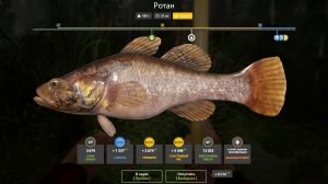 РОТАН ТРОФЕЙНЫЙ!!!КОМАРИНОЕ ОЗЕРО - РУССКАЯ РЫБАЛКА 4