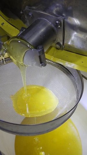 Липа-клевер