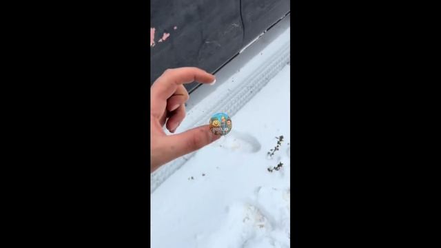 У некоторых украинцев свое представление о математике смотреть онлайн