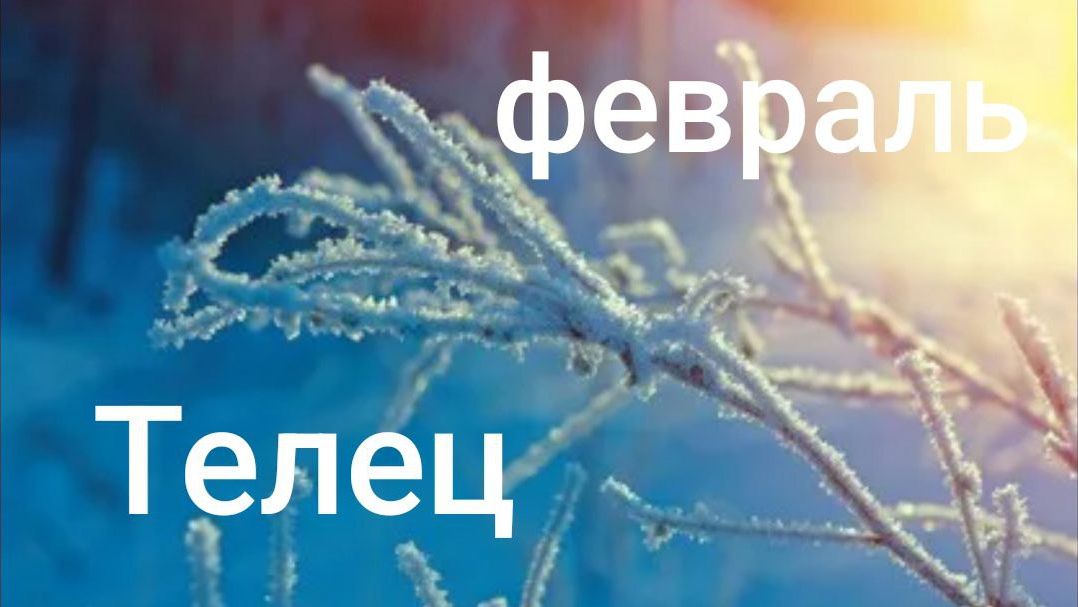 Таро расклад для Тельцов на февраль 2026 года смотреть онлайн