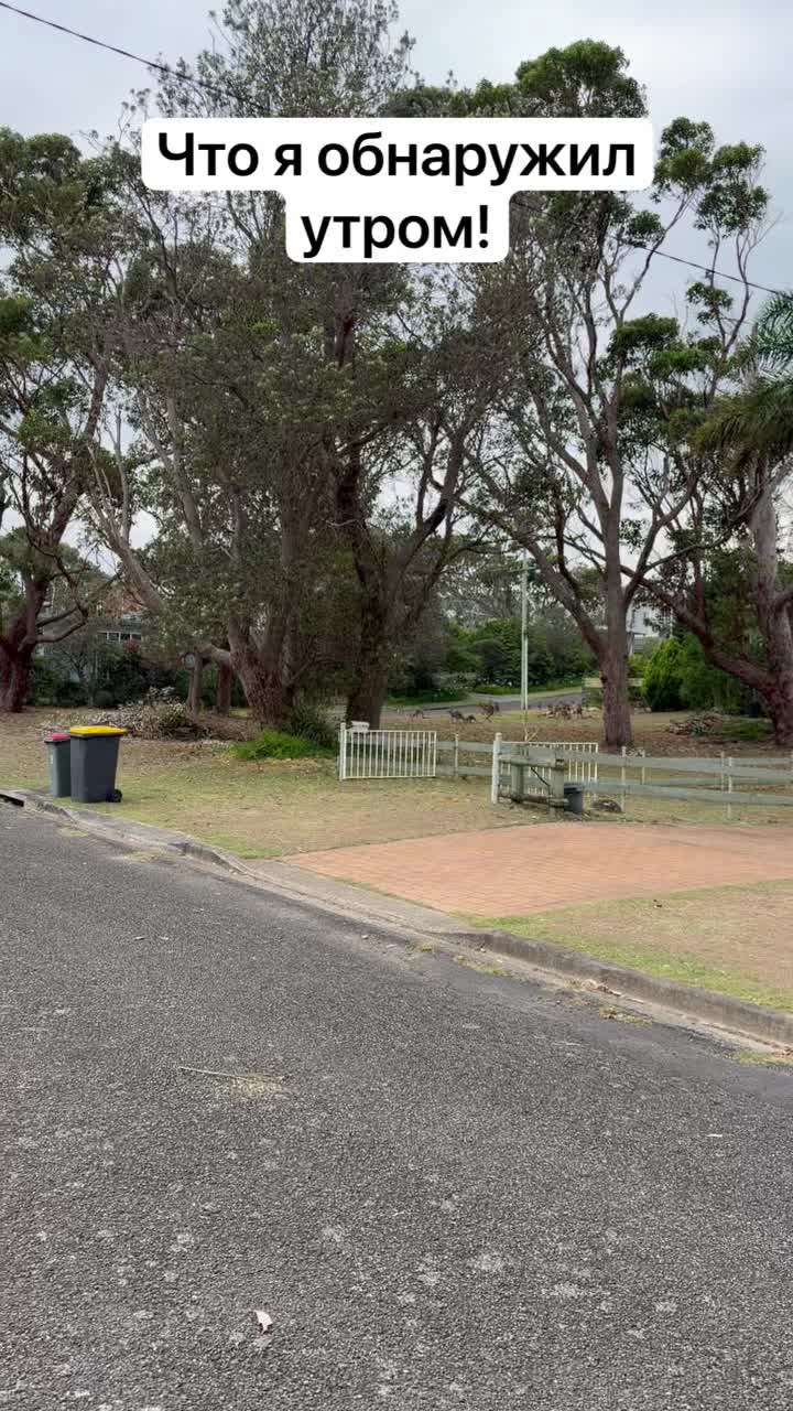 Что я увидел утром ! смотреть онлайн