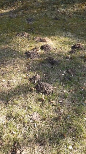 Санаторий Сосны Беларусь смотреть онлайн