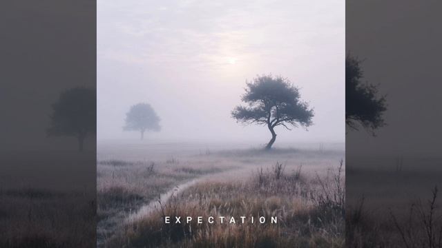 💮💮💮Expectation💮💮💮
