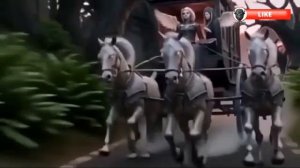 Прогулка на катафалке ⚰️💄 или  финальный макияж 👁️💋