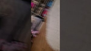 VID_20260111_142730.mp4