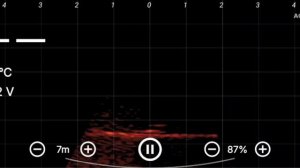 Огромный судак заставил понервничать...