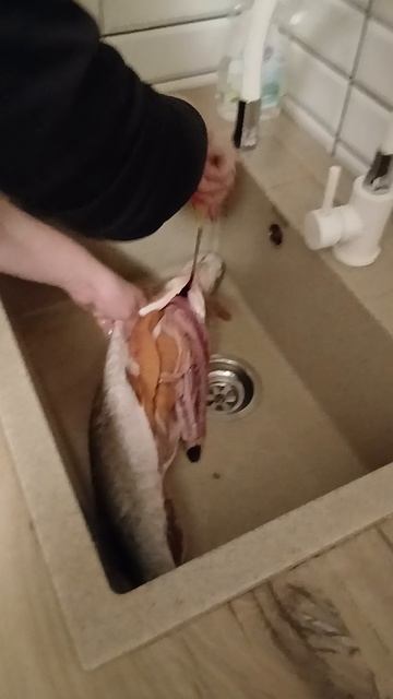 Приобретение 21 века / Показываю как чищу я рыбу смотреть онлайн