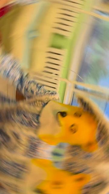 Дед Мороз устал после Нового года, но Снегурочка пришла на помощь #клиникадоктораманнанова