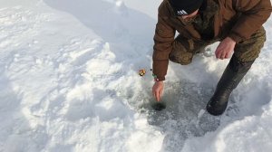 Рыбалка на комбайны))