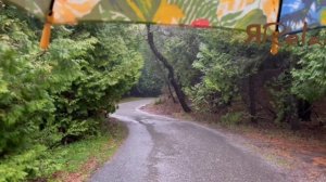 Сатсанг √105 , Роберт Адамс.