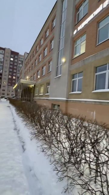 яндекс доставка. меня выписали после дтп #яндекс #доставка #авария #дтп #курьер #еда #новости #жизнь