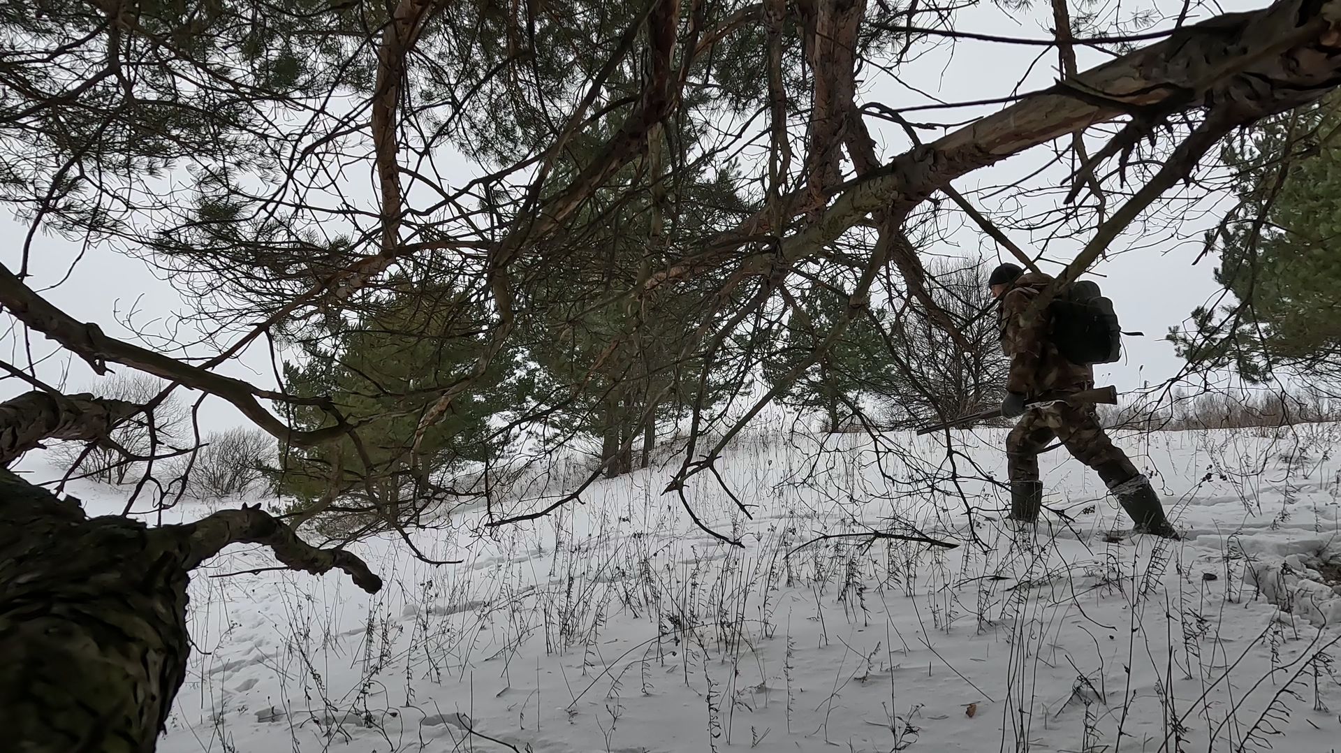 ОХОТА НА ЗАЙЦА ПО СНЕГУ С ЭСТОНЦОМ 8 МЕСЯЦЕВ. смотреть онлайн