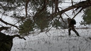 ОХОТА НА ЗАЙЦА ПО СНЕГУ С ЭСТОНЦОМ 8 МЕСЯЦЕВ.