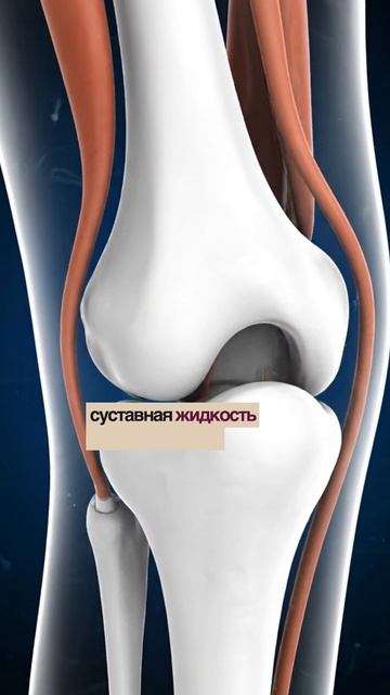 Суставы разрушаются не из-за возраста смотреть онлайн
