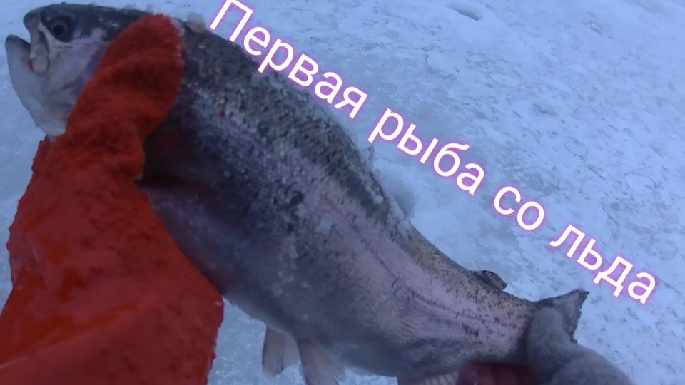 Первая рыбалка со льда 2026! Рыбалка на ВИБЫ и ПОСТАВУШКИ.