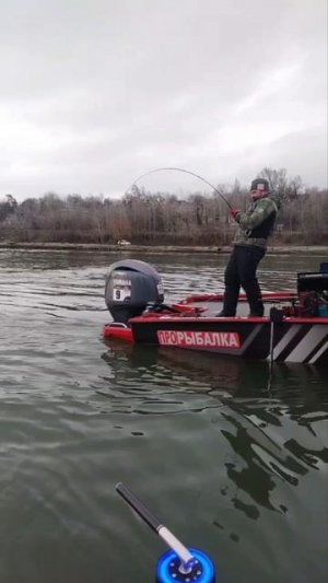 неожиданный улов