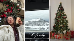 НОВОГОДНИЙ ВЛОГ//: К НАМ ПРИЕХАЛИ РОДИТЕЛИ | ПОЕЗДКА В КРЫМ | ВИНОДЕЛЬНЯ ШАТО АНДРЕ
