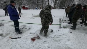 Запуск форели в Ольгово