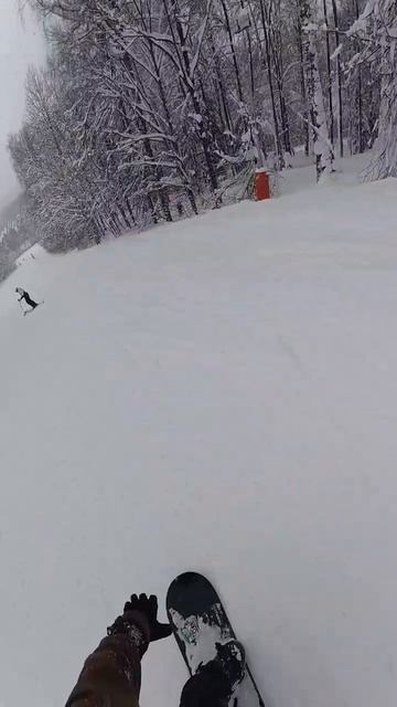 я знаю кунг-фу