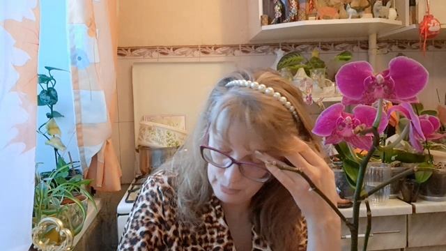 🚀🖋️ШАКАЛ НАВЕШАЛ МНЕ ЛАПШУ,МЕНЯ ОДАРИЛИ 💃🔥МОИ БУДНИ 🖋️🚀 смотреть онлайн