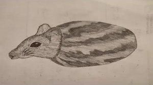 Крысичное обновление по каналу (Архинесмешное)