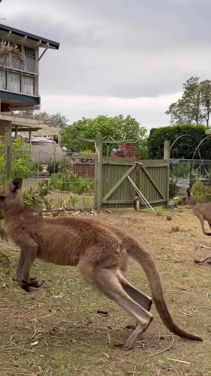 🔥 Всё, что нельзя выкладывать сюда - закулисье и истории, за которые меня постоянно банят, уже л... смотреть онлайн