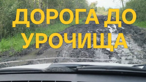 Дорога на урочище и обратно #поискмонет #монеты #equinox900 #equinox #minelab #40