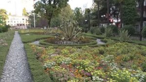 25 сентября 2022 год. Сочи. Хроника.