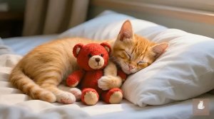 😹Маленький милый котёночек нежно обнял плюшевого мишку и спит🔥