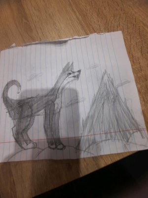 продолжение