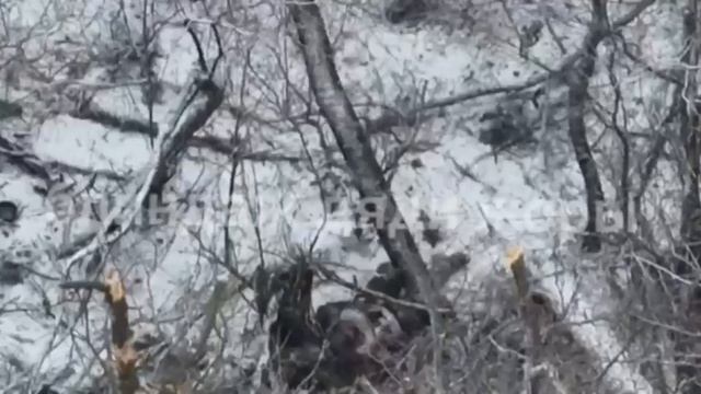 ⚡️СВО 18+ Работа ВС РФ на разных направлениях. смотреть онлайн