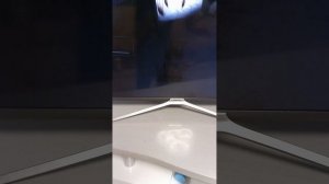 Реакция на трейлер пять ночей с квасозавром!!!!🦖🦖🦖🦖🦖🦖