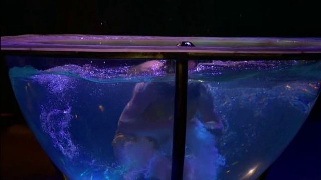 .Оrcestr.- Cirk. смотреть онлайн