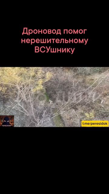 Наш дроновод помог нерешительному ВСУшнику смотреть онлайн