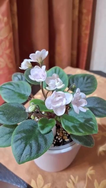 Серебрянный ручей