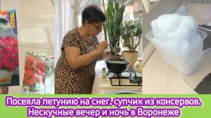 Посеяла петунию на снег, супчик из консервов. Нескучные вечер и ночь в Воронеже