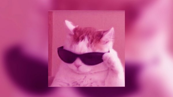 ☆плейлист НЕ популярных песен из тик тока 2026 года☆