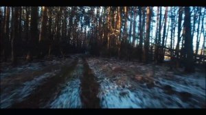 (49/17) МЕЩЕРА: Самые красивые леса Подмосковья