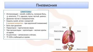 Лекция 4.3 Пневмония
