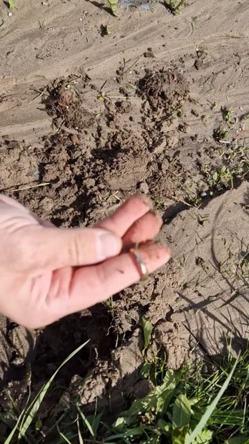 Металлоискатели Fomtect